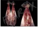 Cadaver Bags