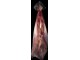 Cadaver Bags