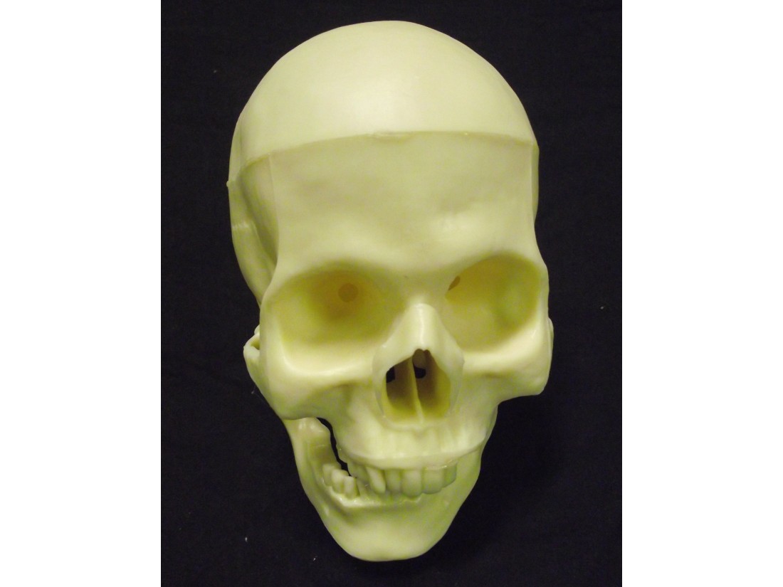 Human Skull - Fear FX