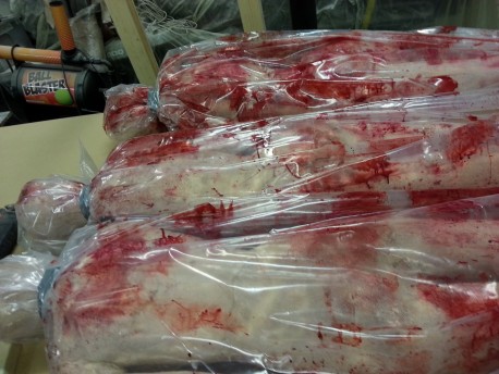 Three Female Bodies in Bags