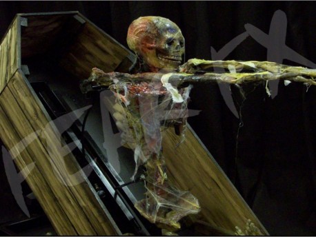 Coffin Leaper
