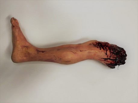 Severed Leg R/H