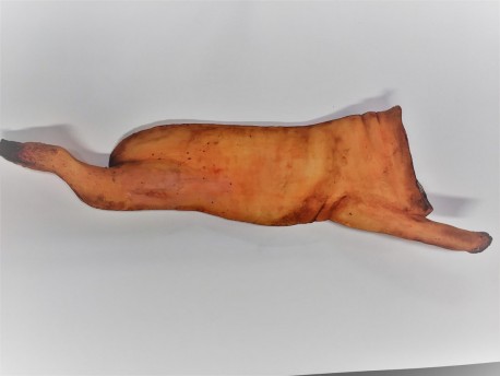 Pig Carcass