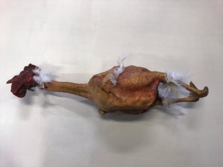 chicken